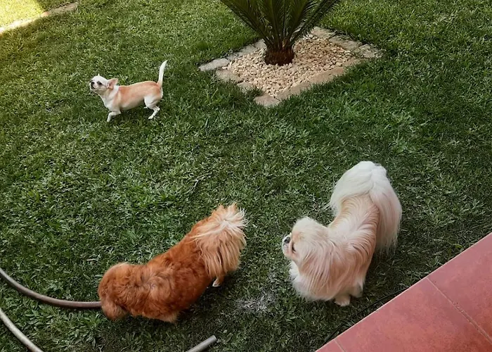 Casa Do Tio Quim