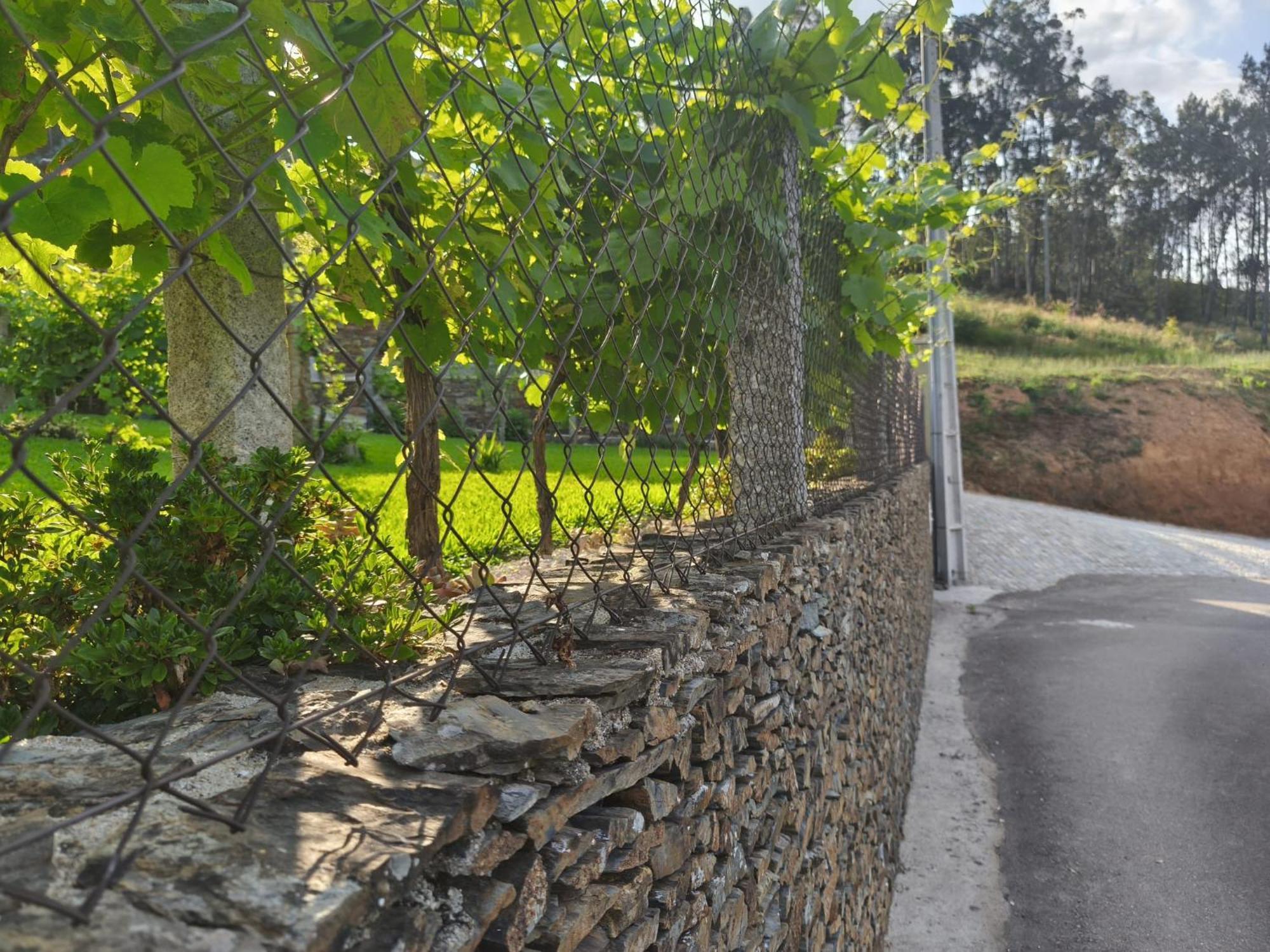 Hébergement de vacances Casa Do Tio Quim *